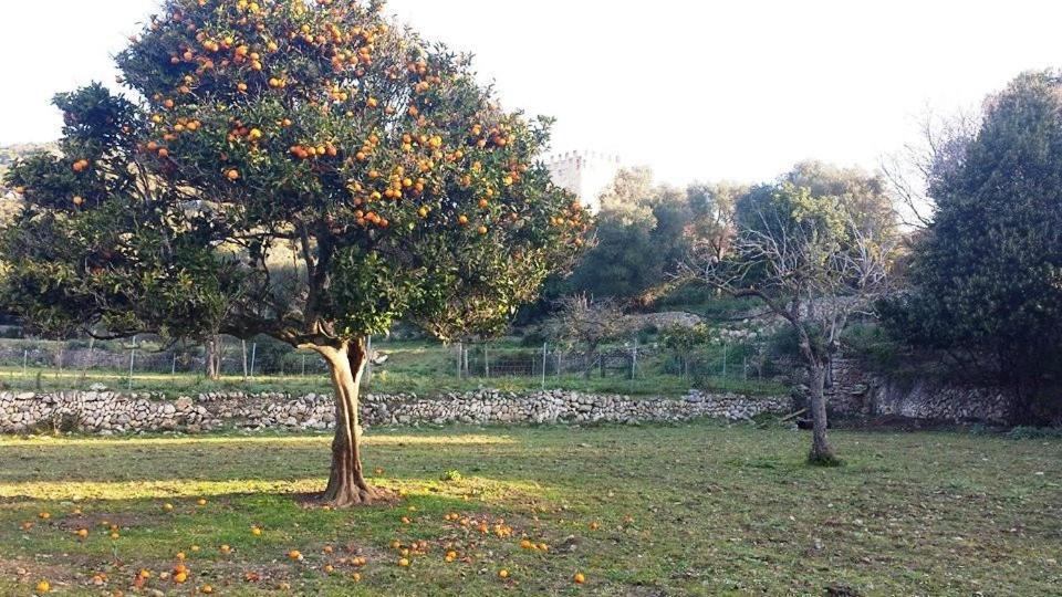 Finca Sa Duaia De Dalt Arta Exterior photo